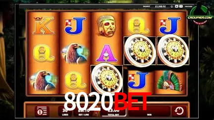 Cassino ao vivo com dealers reais na 8020bet